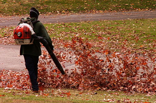 4 Ways to Clean Up Leaves and What to Do with Them