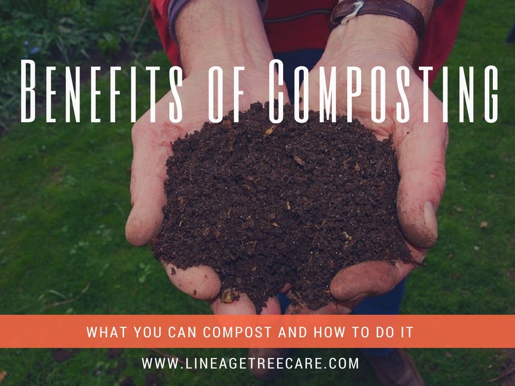 Are You Composting? If Not, Why?