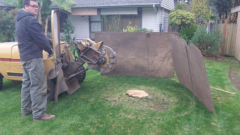 Benefits of Stump Grinding in Bothell