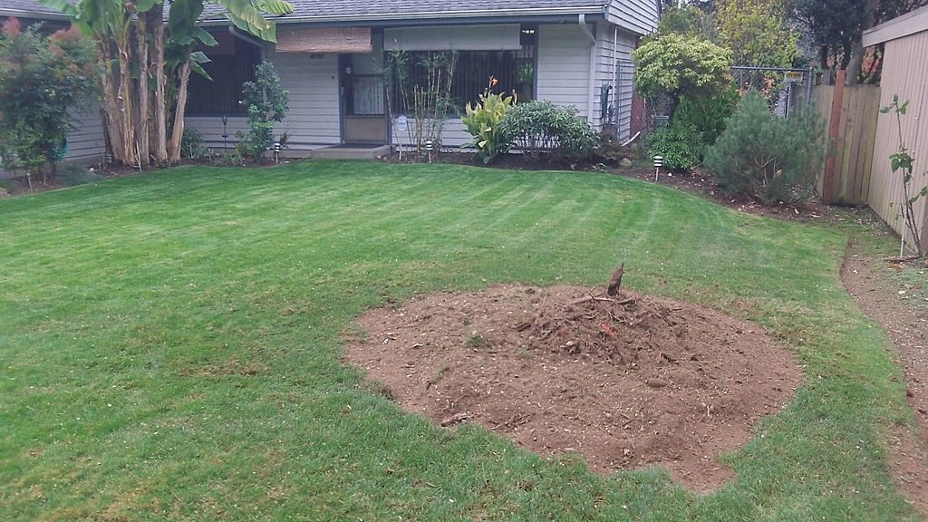 stump grinding and removal 