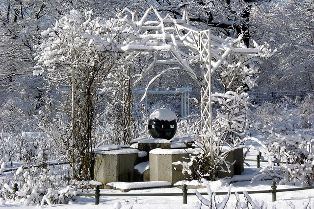 Create Winter Garden Interest with Trees and Shrubs