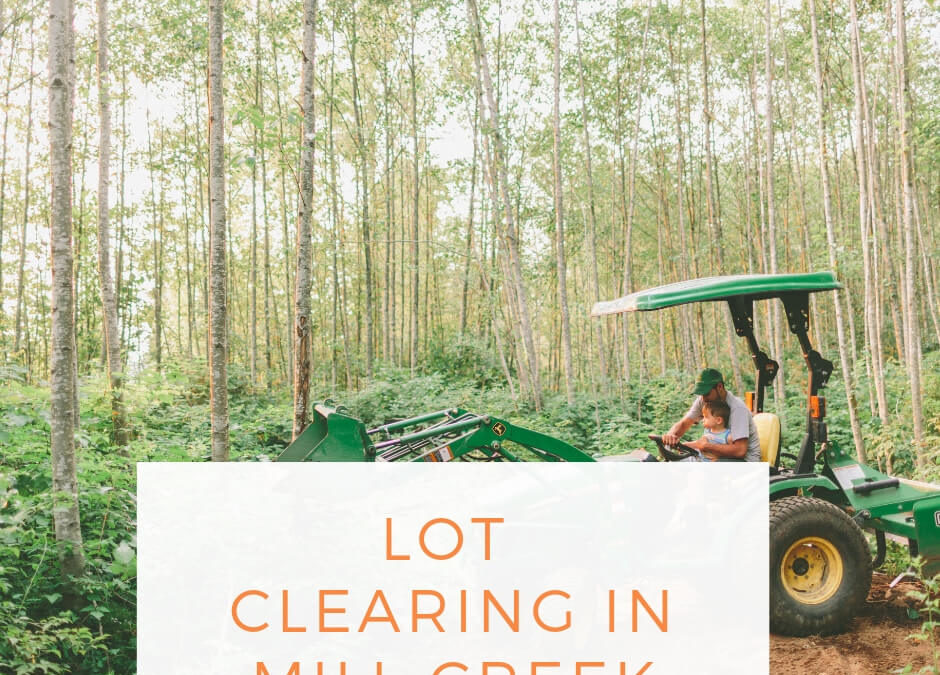 Lot Clearing in Mill Creek Washington