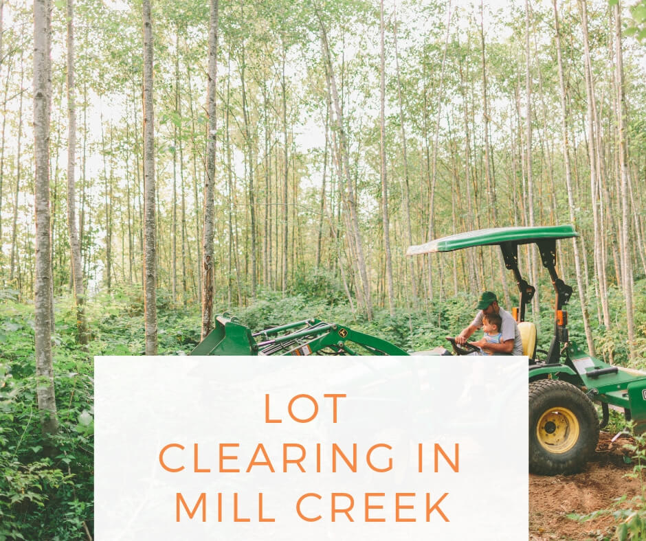 Lot Clearing in Mill Creek Washington