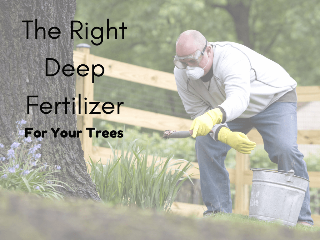 Should We Be Using Deep-Root Fertilization?