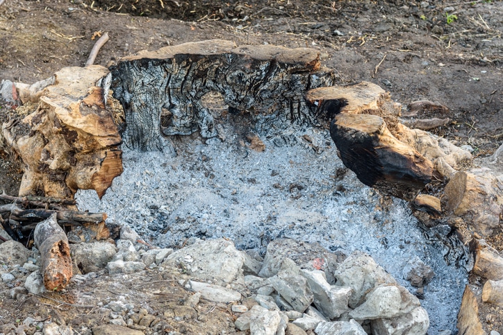 How to burn out a stump