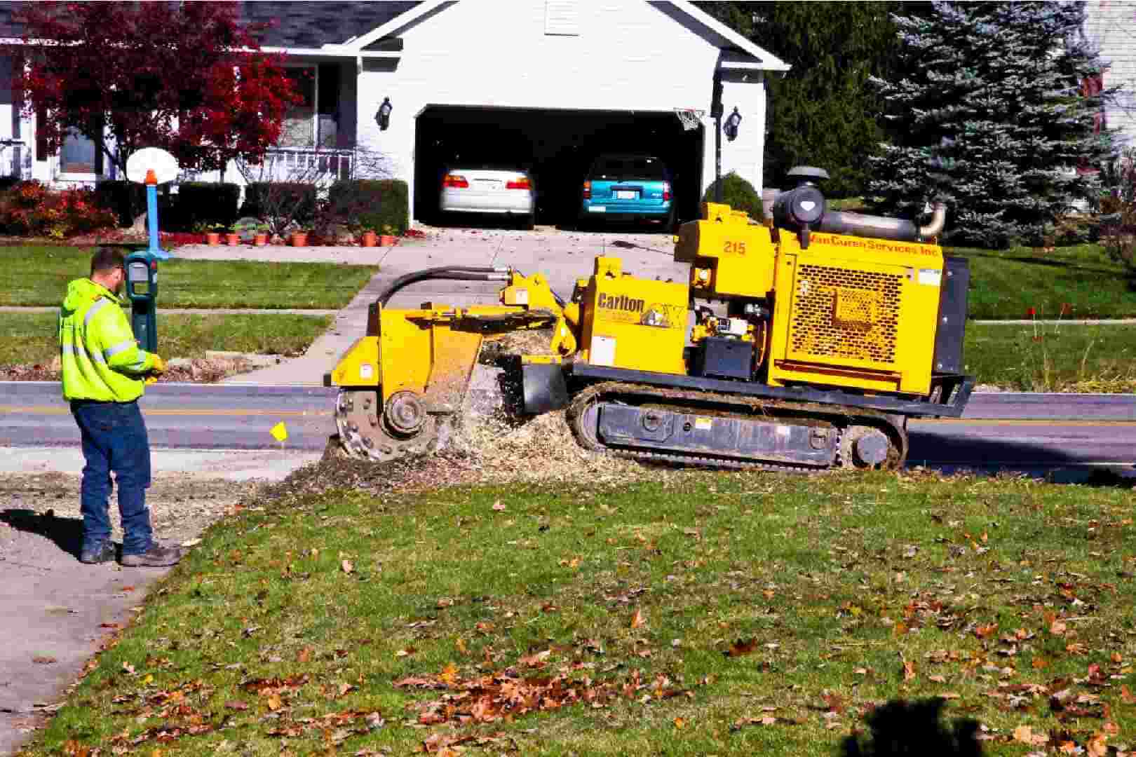 Stump Grinders: Types, Tips, How They Work